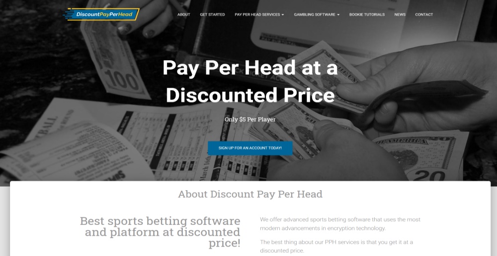 Discount Pay Per Head Review