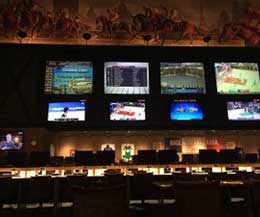 sportsbook reviews